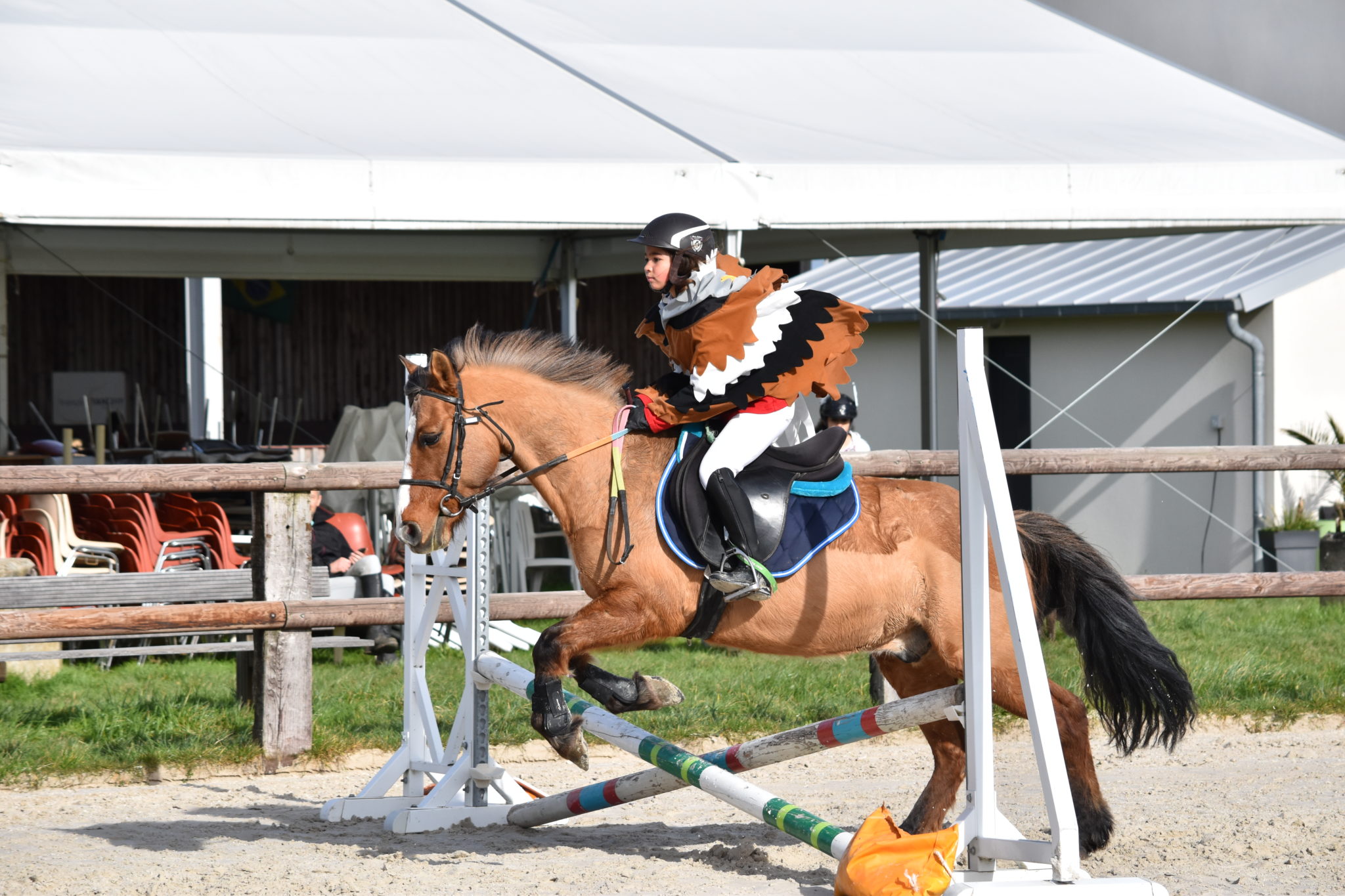 École d'équitation Haras d'Oé