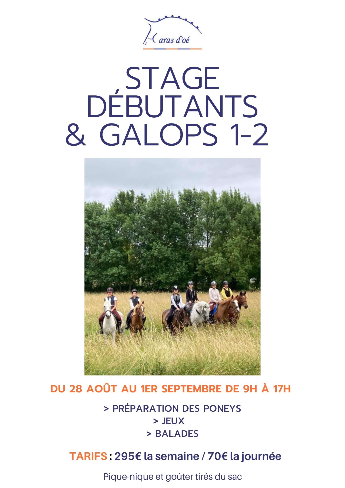 AOÛT - STAGE DÉBUTANTS & G1-2