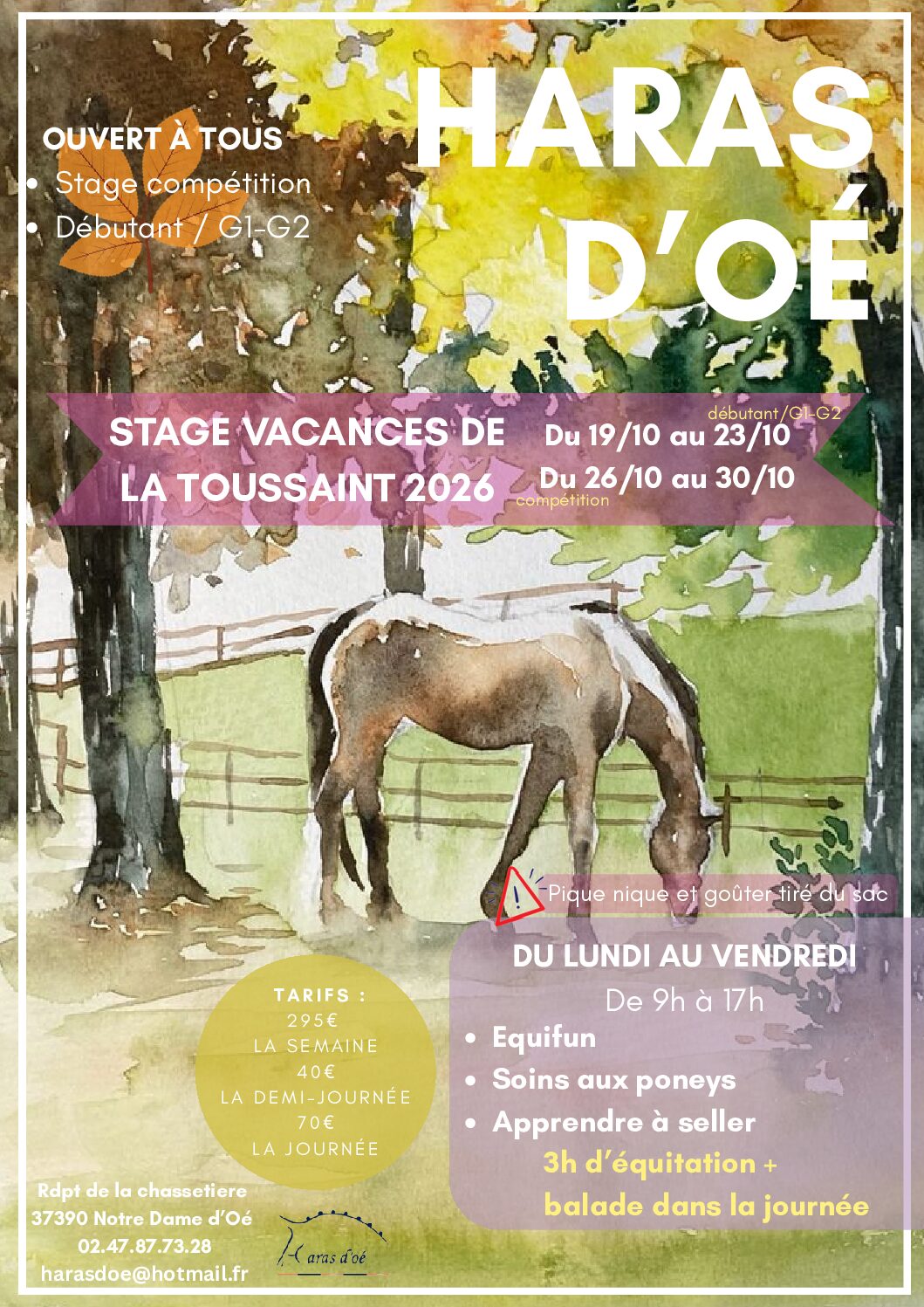 stage vacances toussaint finie